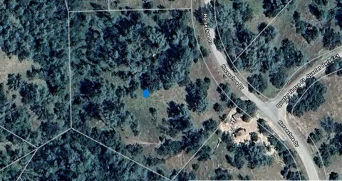 Horseshoe Drive
