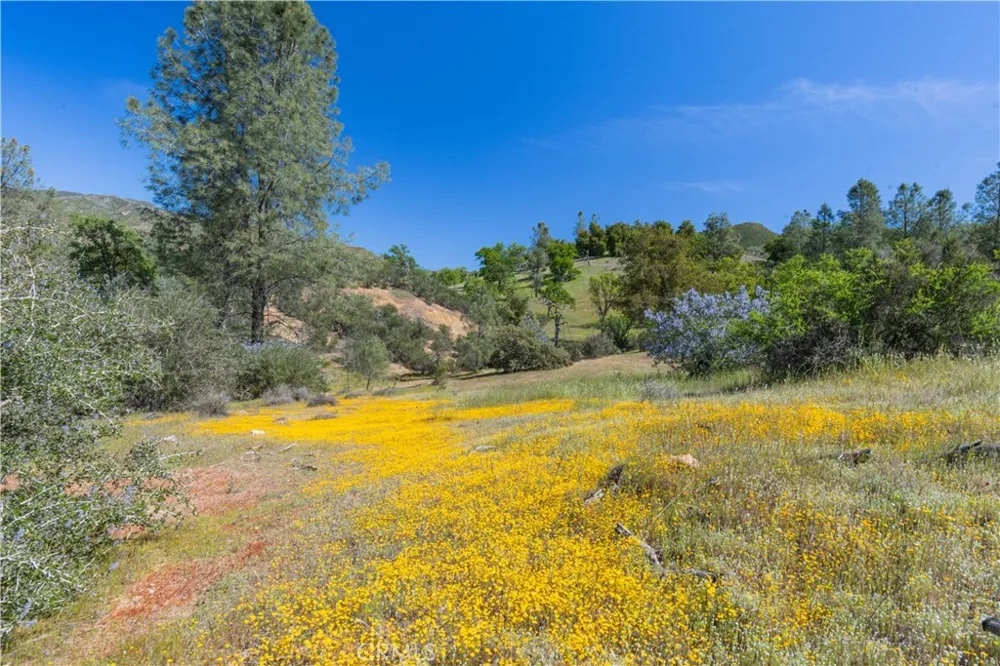 AV Ranch Road King City, CA 93928