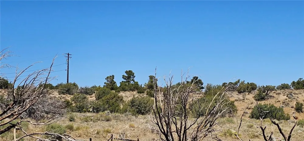 98th Street E Juniper Hills, CA 93543