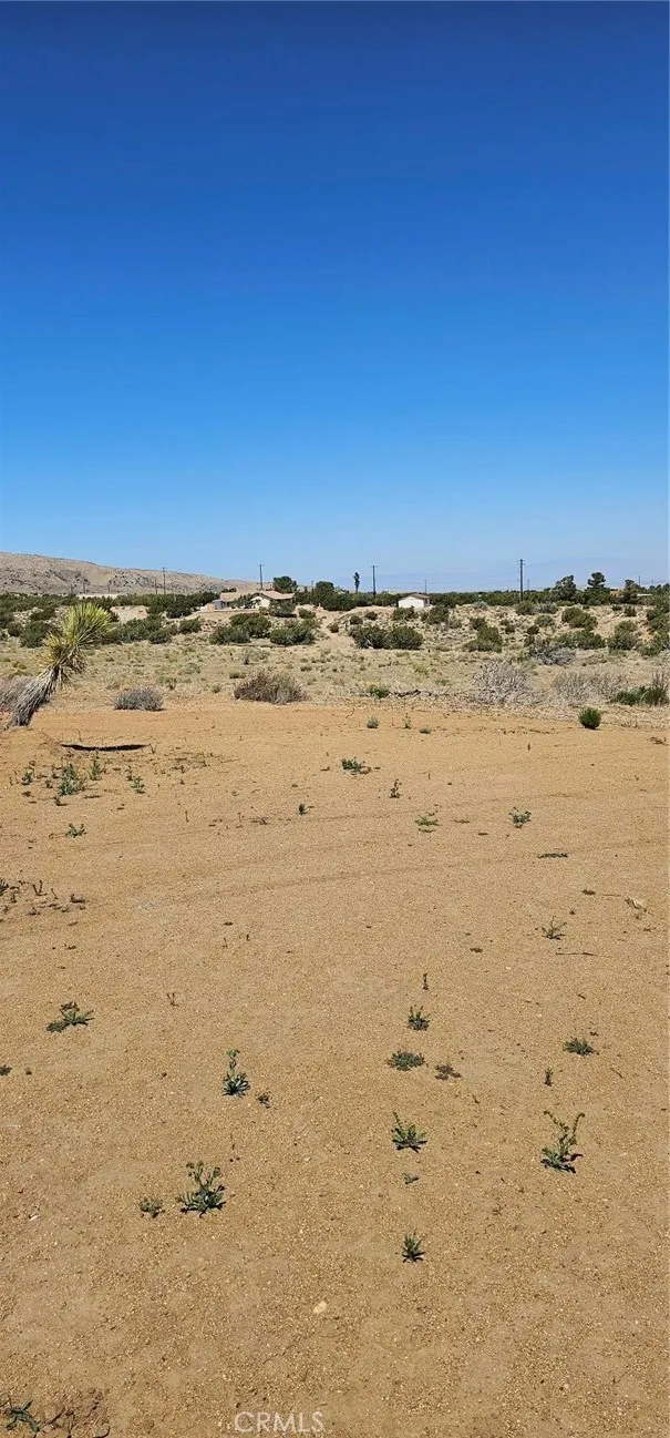 98th Street E Juniper Hills, CA 93543