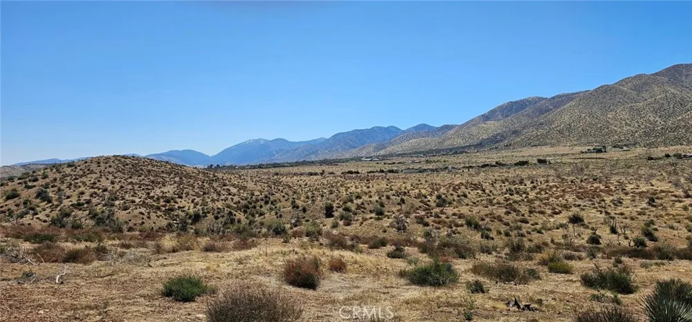 98th Street E Juniper Hills, CA 93543