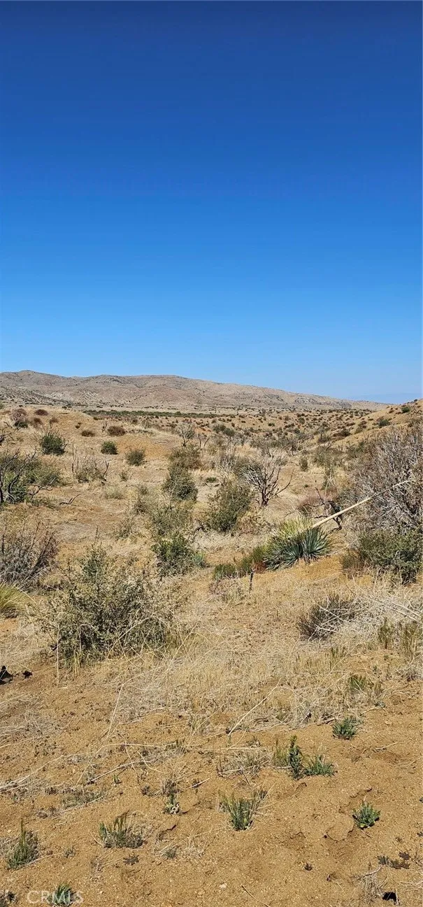 98th Street E Juniper Hills, CA 93543