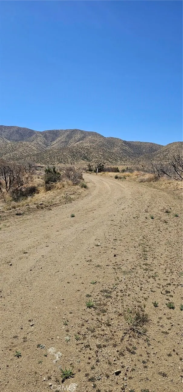 98th Street E Juniper Hills, CA 93543