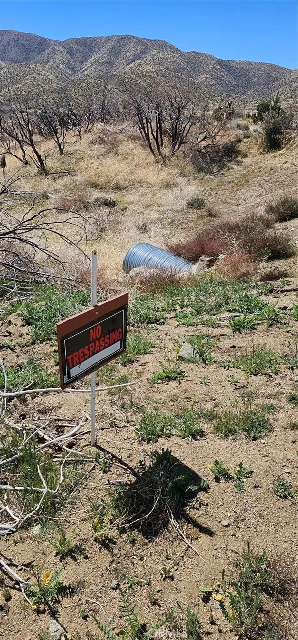 98th Street E Juniper Hills, CA 93543