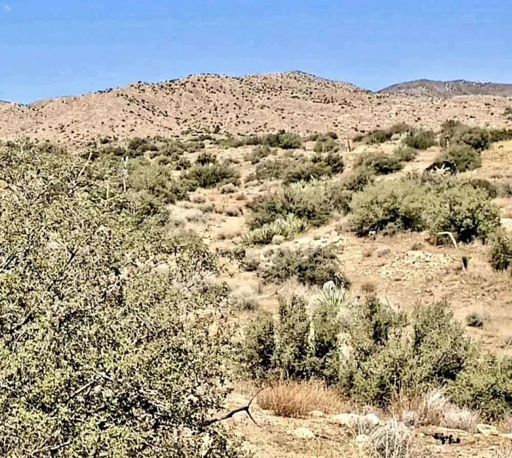 Trails End Ox Yoke Pass Pioneertown, CA 92268