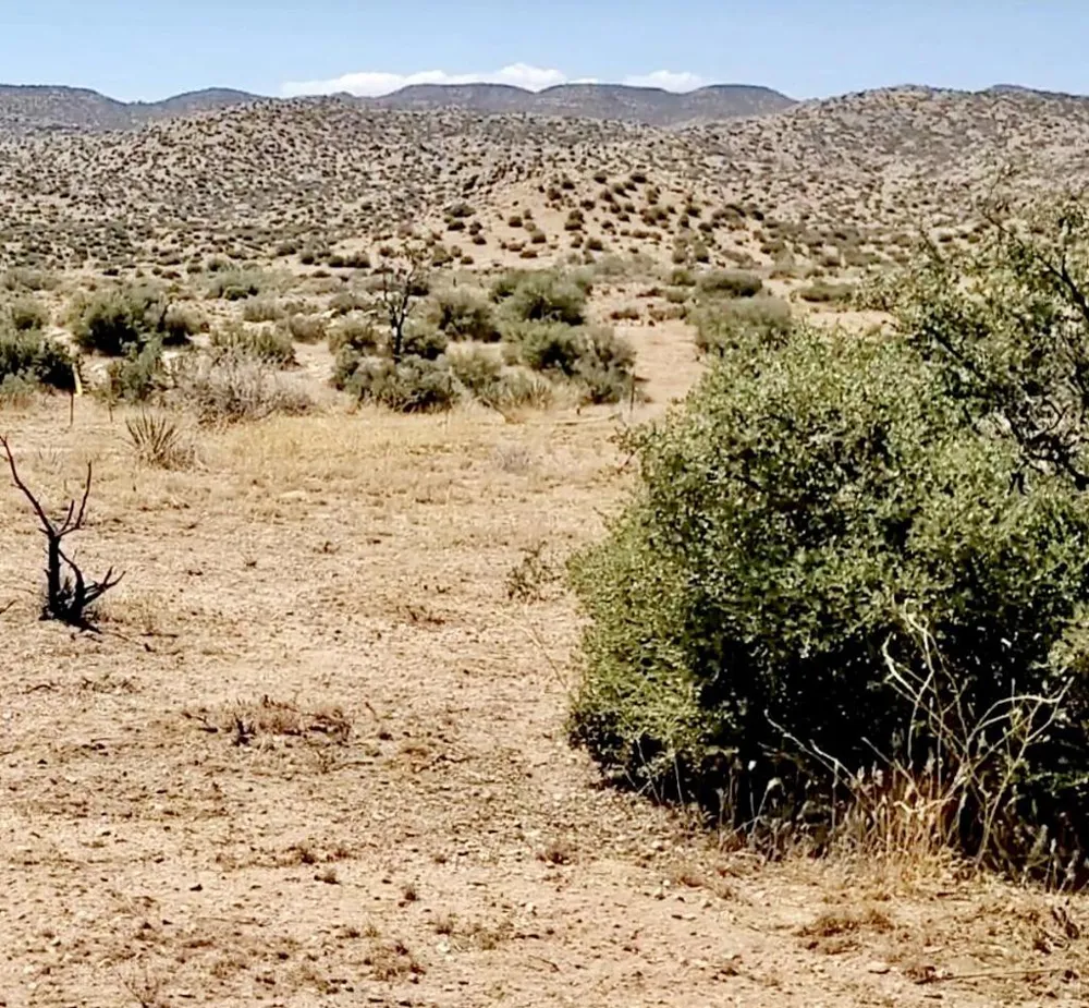 Trails End Ox Yoke Pass Pioneertown, CA 92268