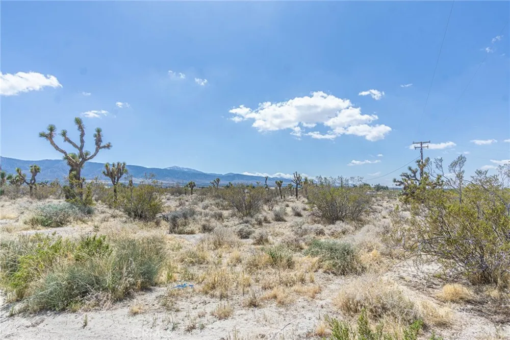 Bear Valley Road Pinon Hills, CA 92372