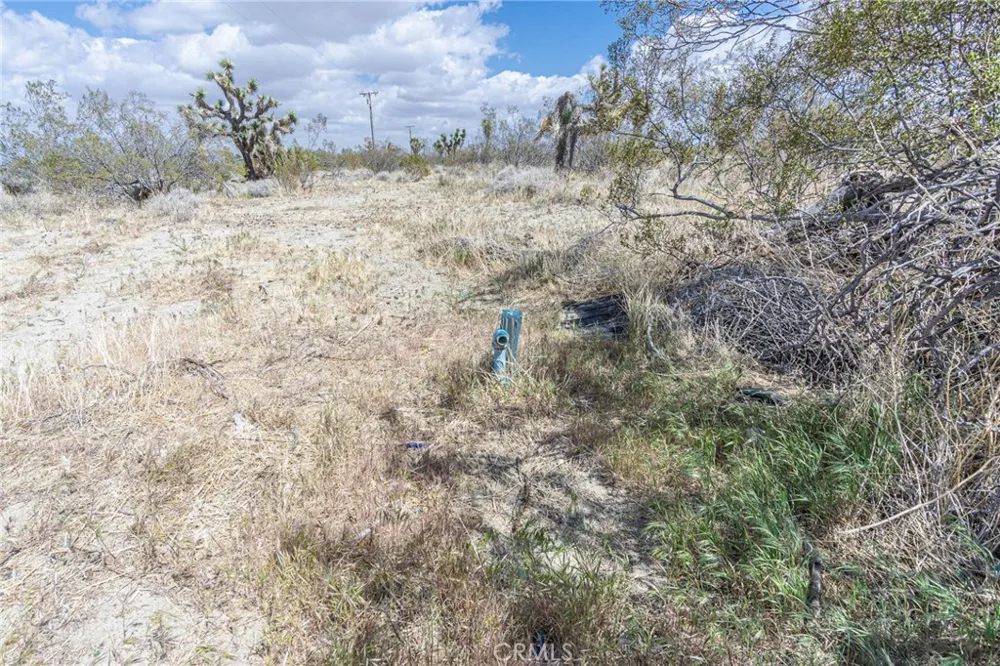 Bear Valley Road Pinon Hills, CA 92372