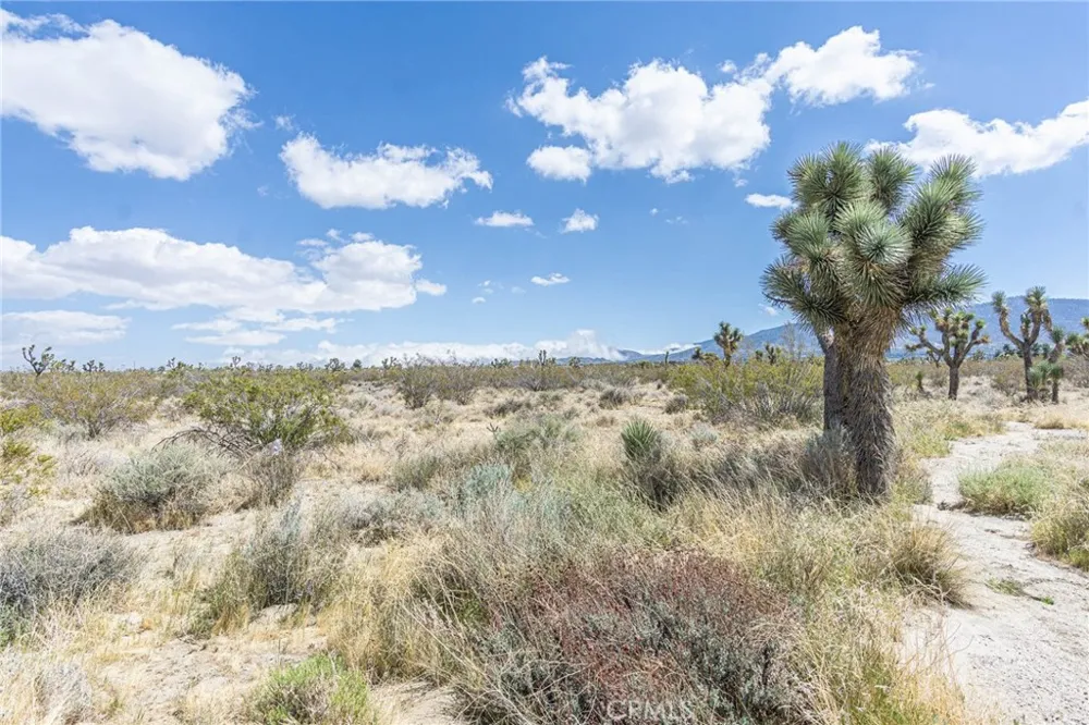 Bear Valley Road Pinon Hills, CA 92372