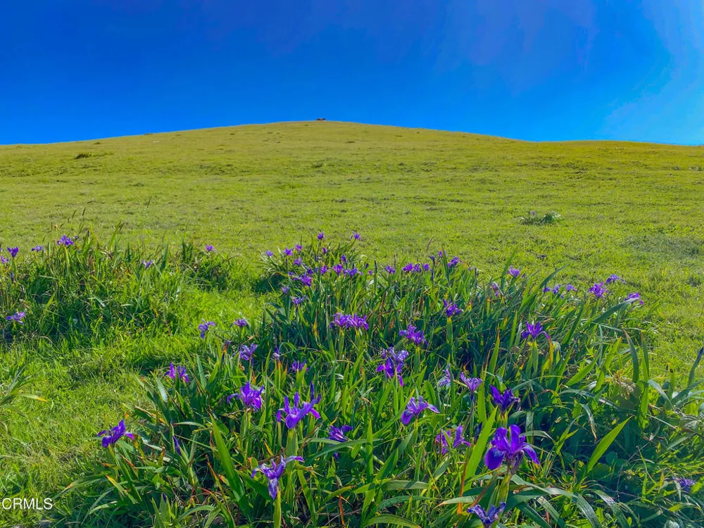3400 Highway 1 Albion, CA 95410