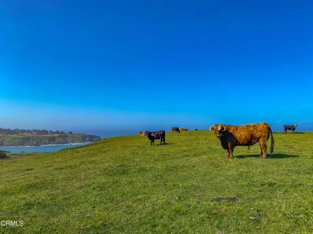 3400 Highway 1 Albion, CA 95410