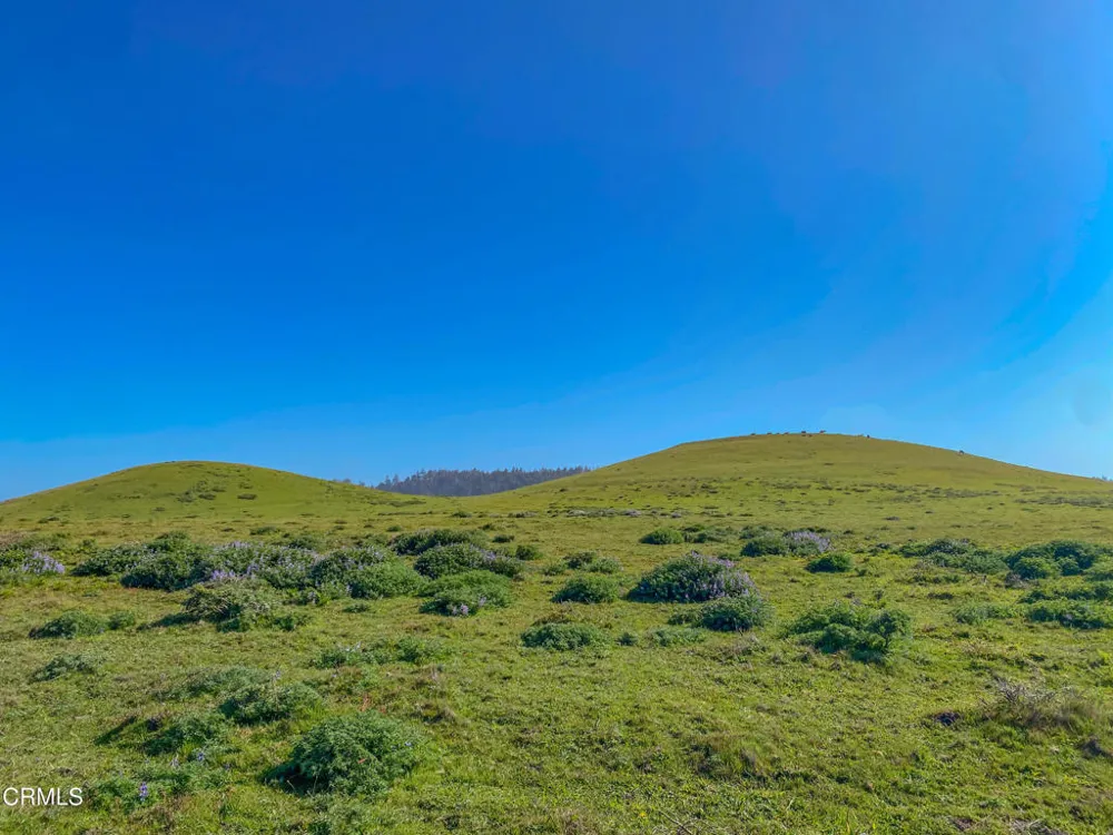 3400 Highway 1 Albion, CA 95410