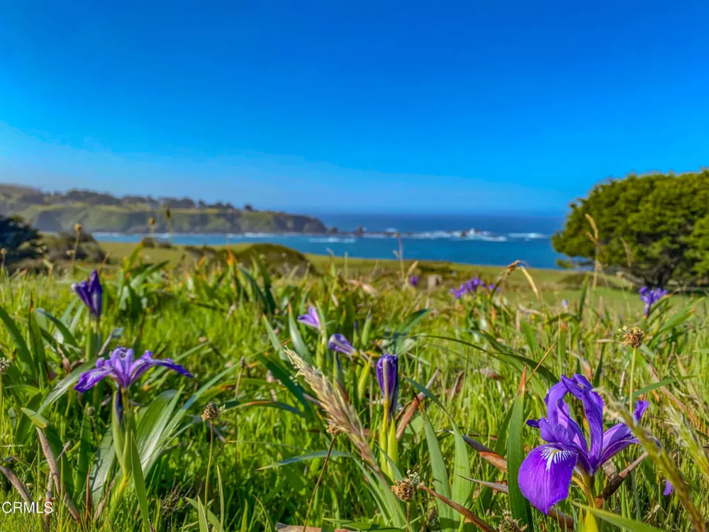 3400 Highway 1 Albion, CA 95410