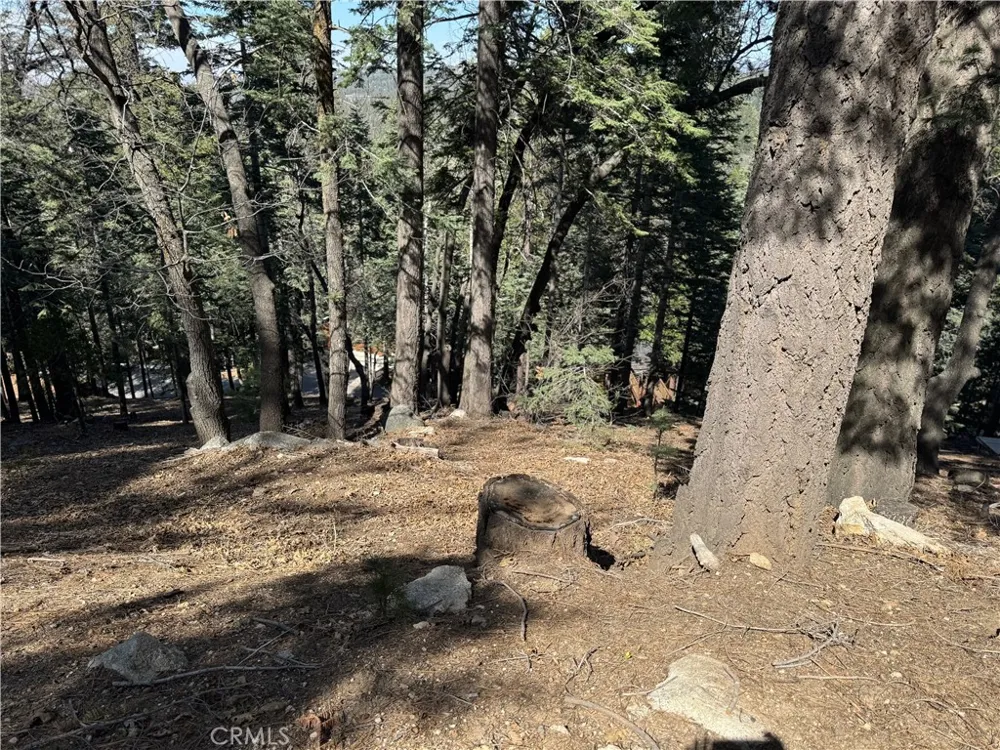 26537 Spyglass Drive Lake Arrowhead, CA 92352