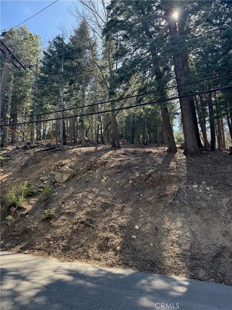 26537 Spyglass Drive Lake Arrowhead, CA 92352