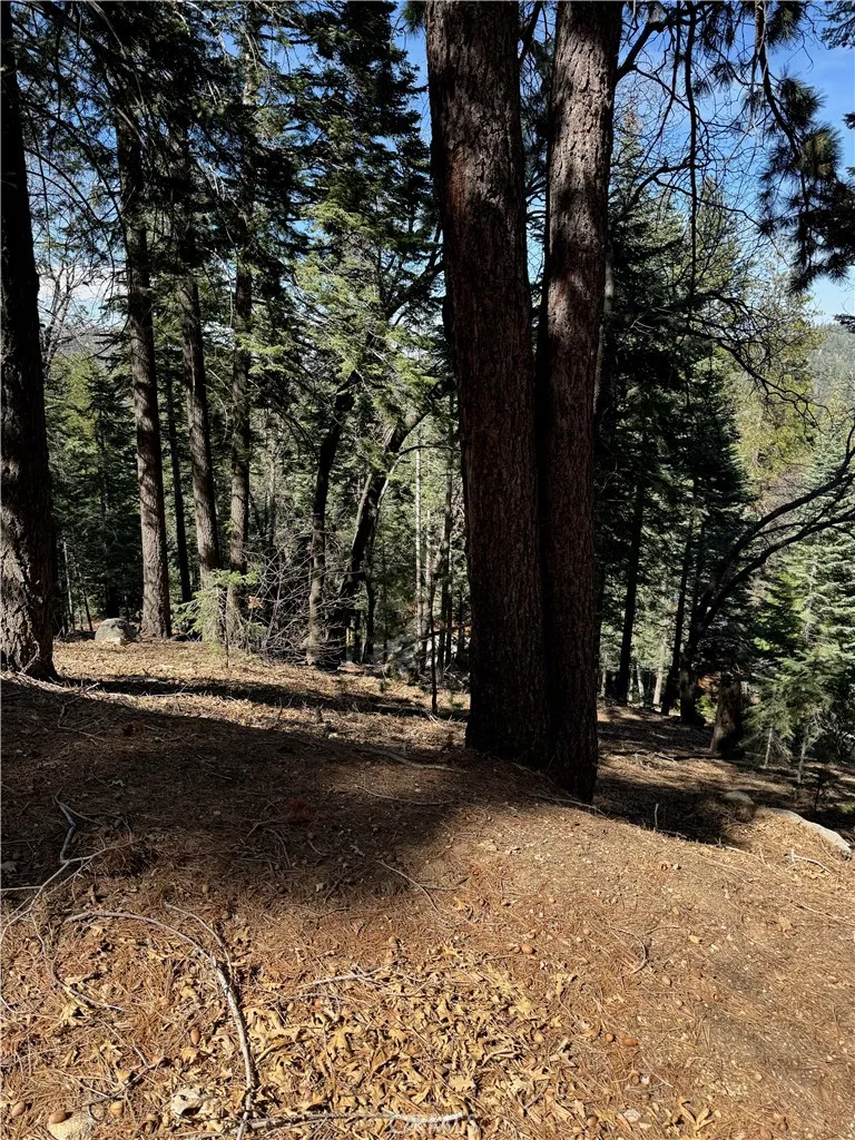 26537 Spyglass Drive Lake Arrowhead, CA 92352