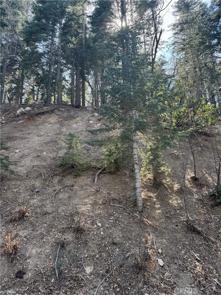 26537 Spyglass Drive Lake Arrowhead, CA 92352