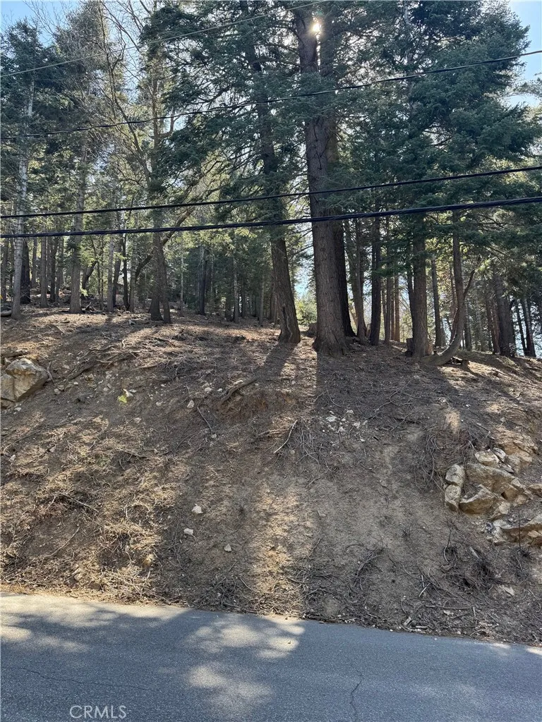 26537 Spyglass Drive Lake Arrowhead, CA 92352