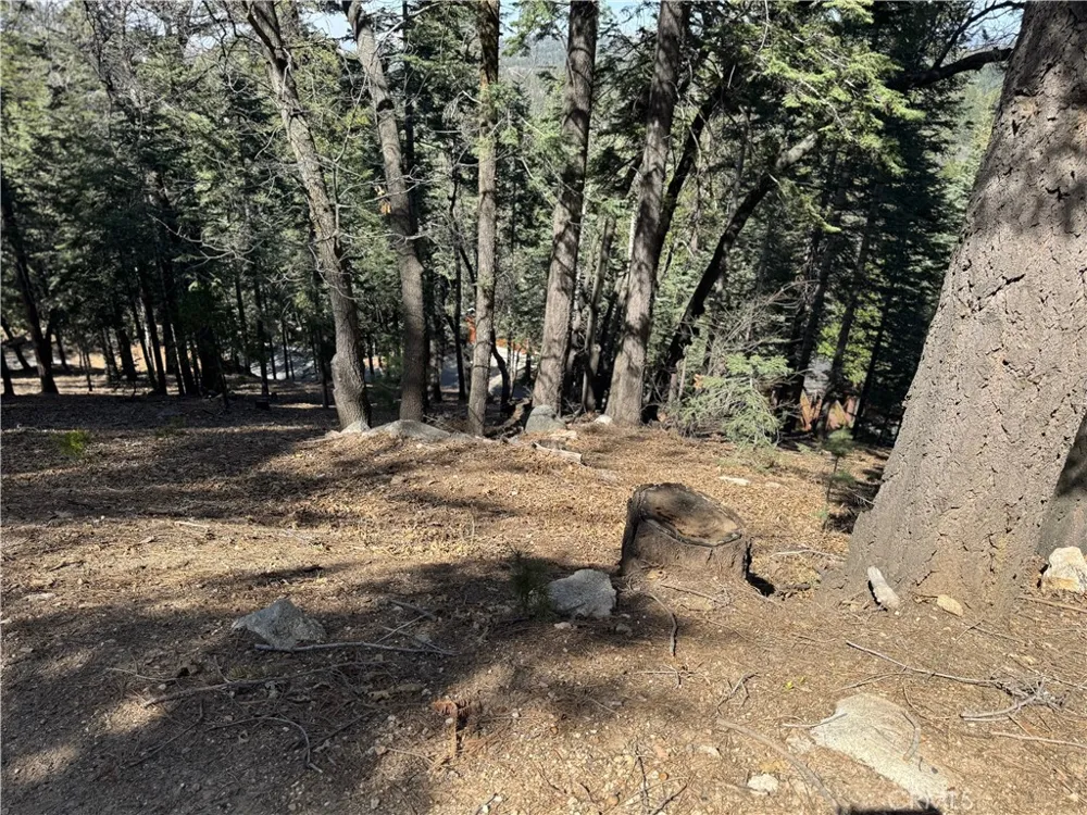 26537 Spyglass Drive Lake Arrowhead, CA 92352