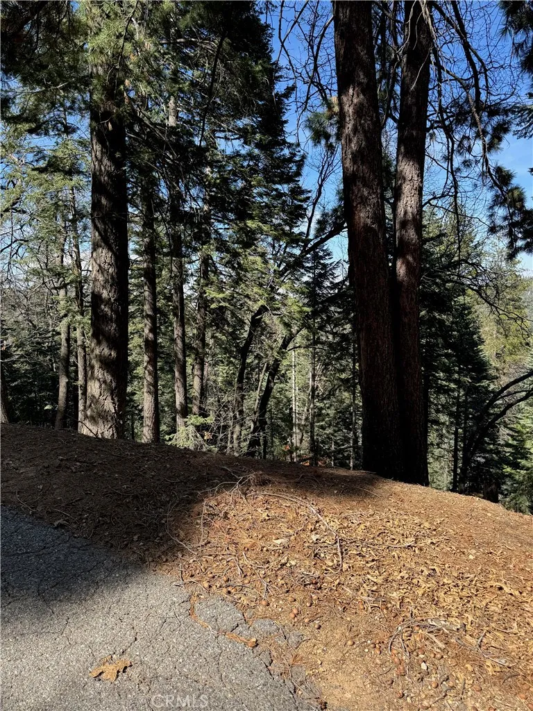 26537 Spyglass Drive Lake Arrowhead, CA 92352