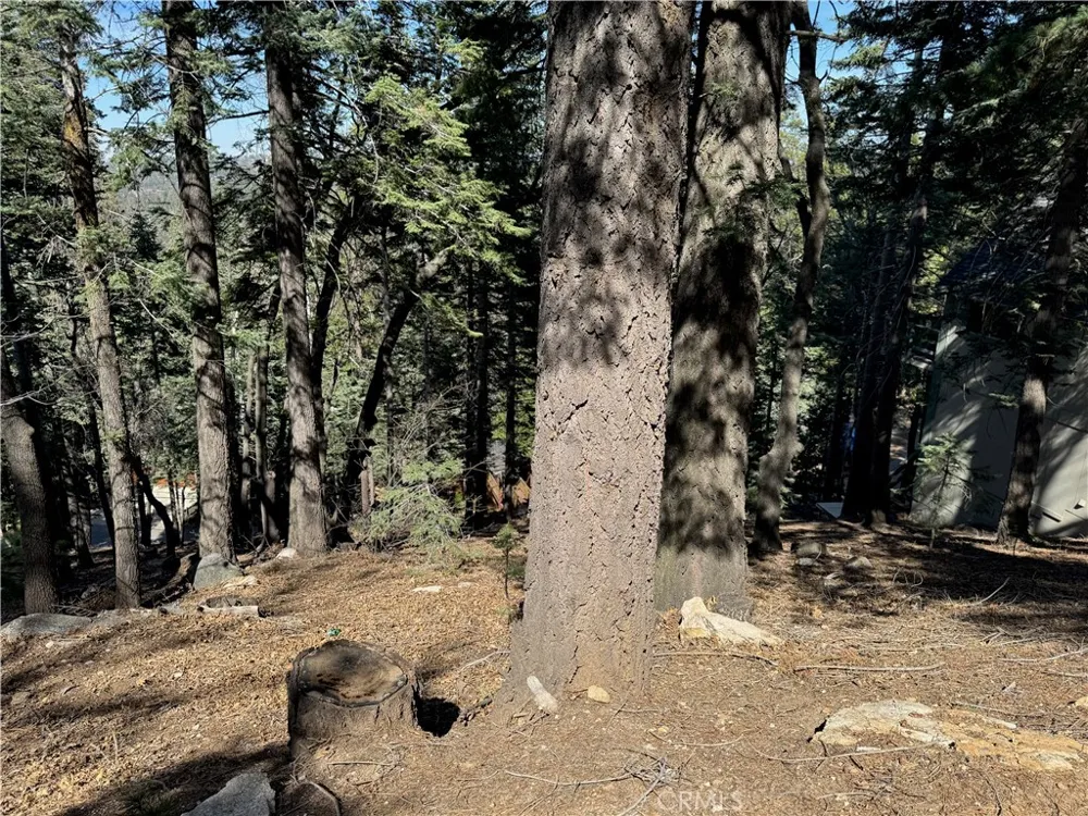 26537 Spyglass Drive Lake Arrowhead, CA 92352