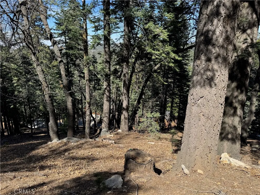 26537 Spyglass Drive Lake Arrowhead, CA 92352