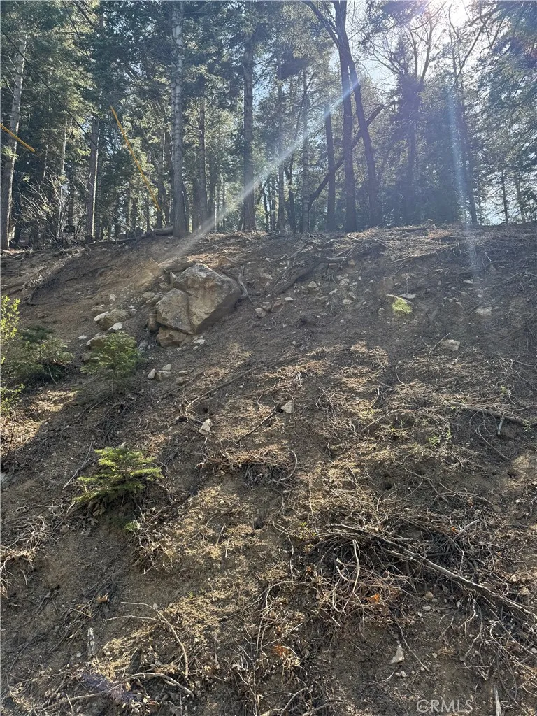 26537 Spyglass Drive Lake Arrowhead, CA 92352