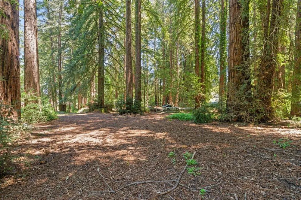 Grove Street Los Gatos, CA 95030