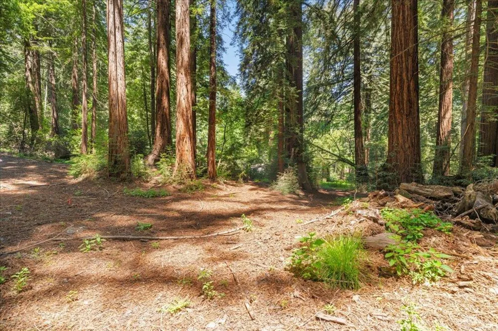 Grove Street Los Gatos, CA 95030