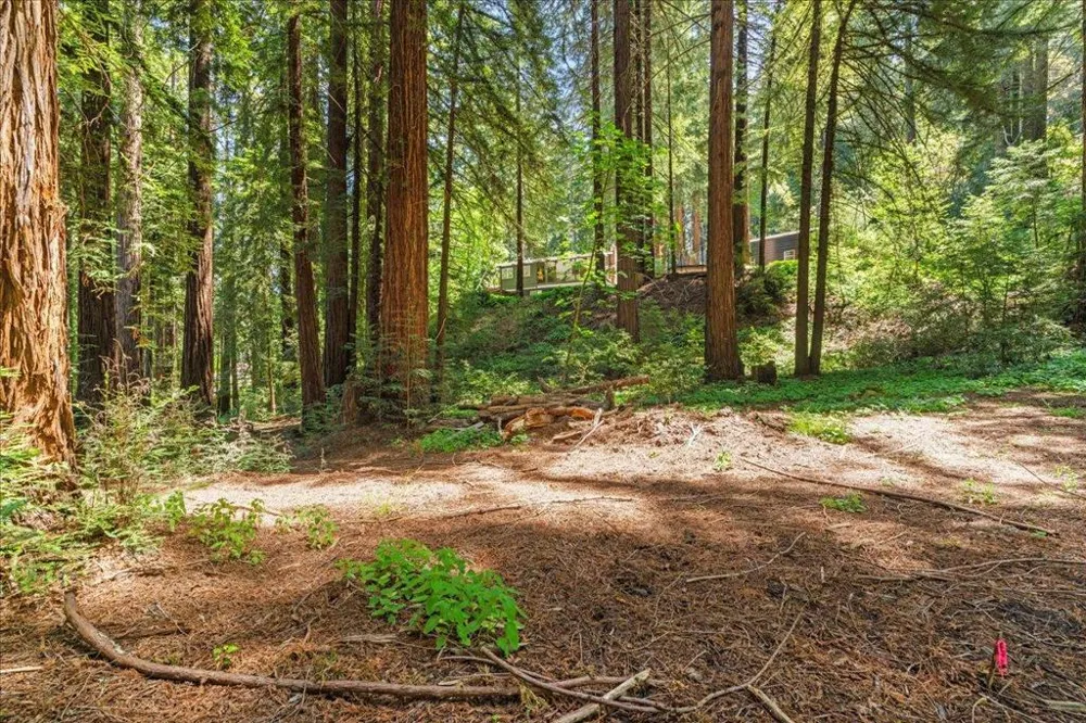 Grove Street Los Gatos, CA 95030
