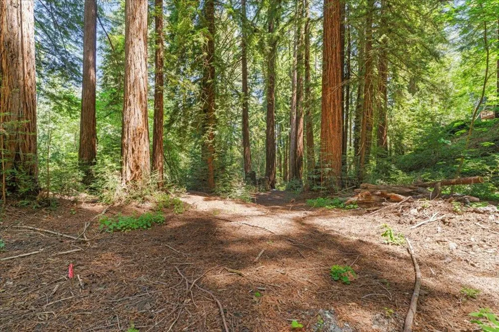 Grove Street Los Gatos, CA 95030