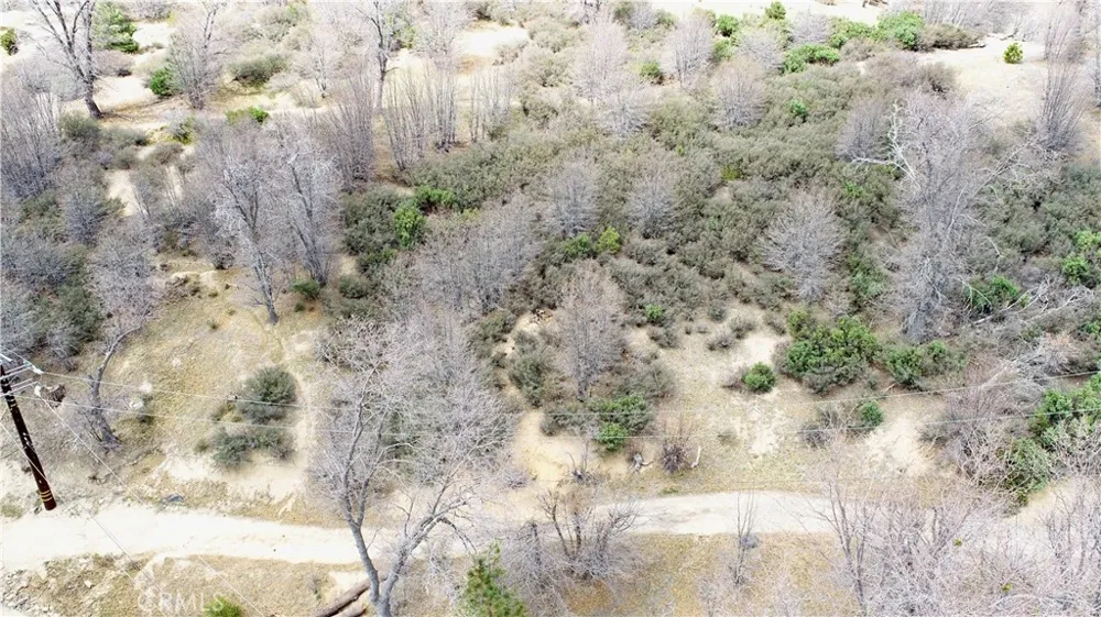 walnut Cedar Glen, CA 92321