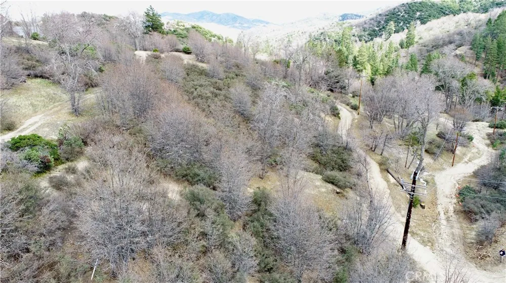 walnut Cedar Glen, CA 92321