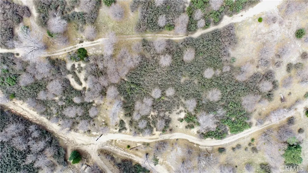 walnut Cedar Glen, CA 92321