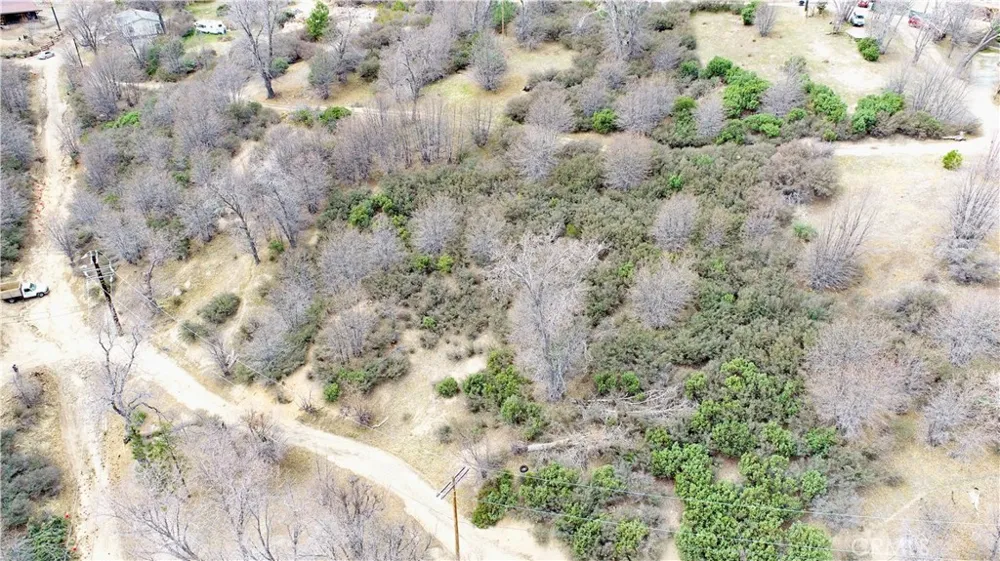 walnut Cedar Glen, CA 92321