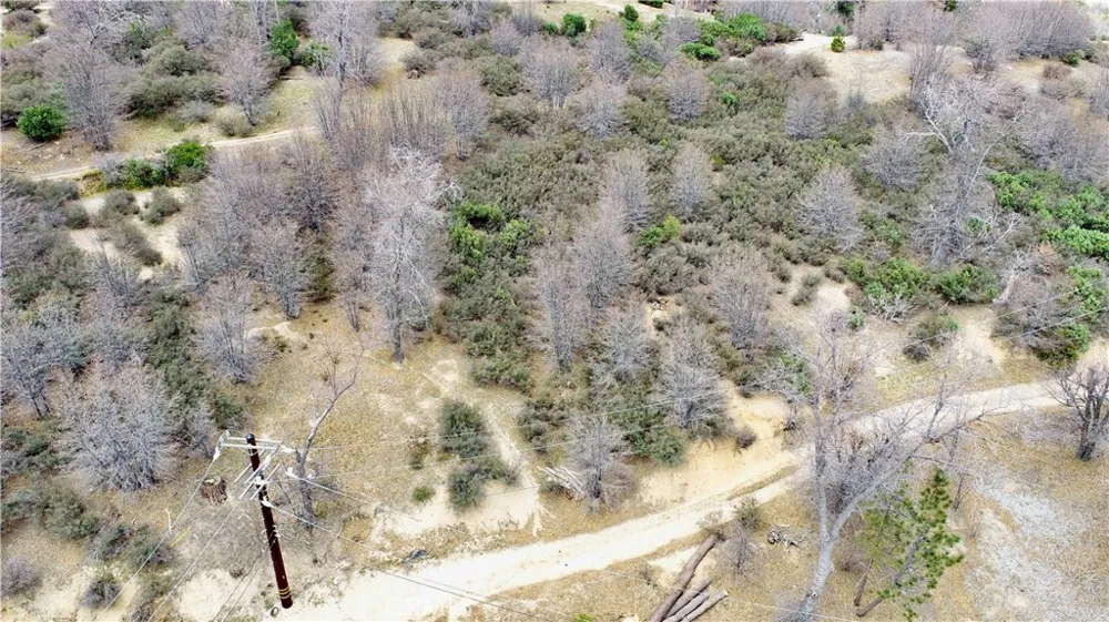 walnut Cedar Glen, CA 92321