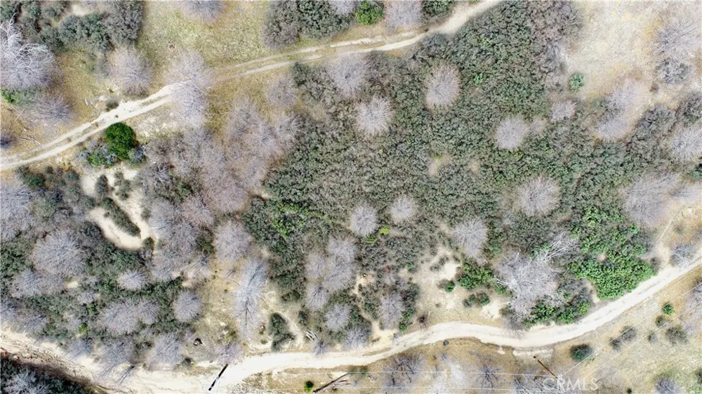 walnut Cedar Glen, CA 92321