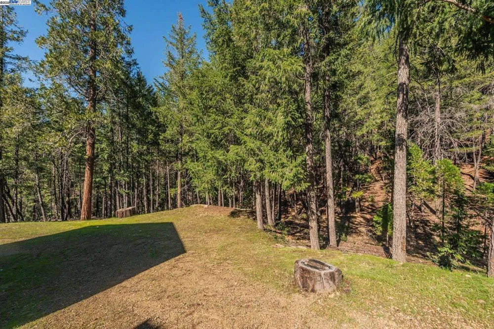 8341 East Side Rd Trinity Center, CA 96091