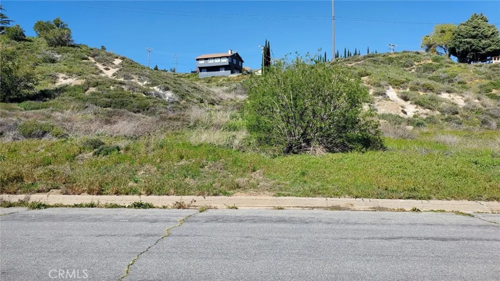 Kiptree Drive Lake Elizabeth, CA 93532