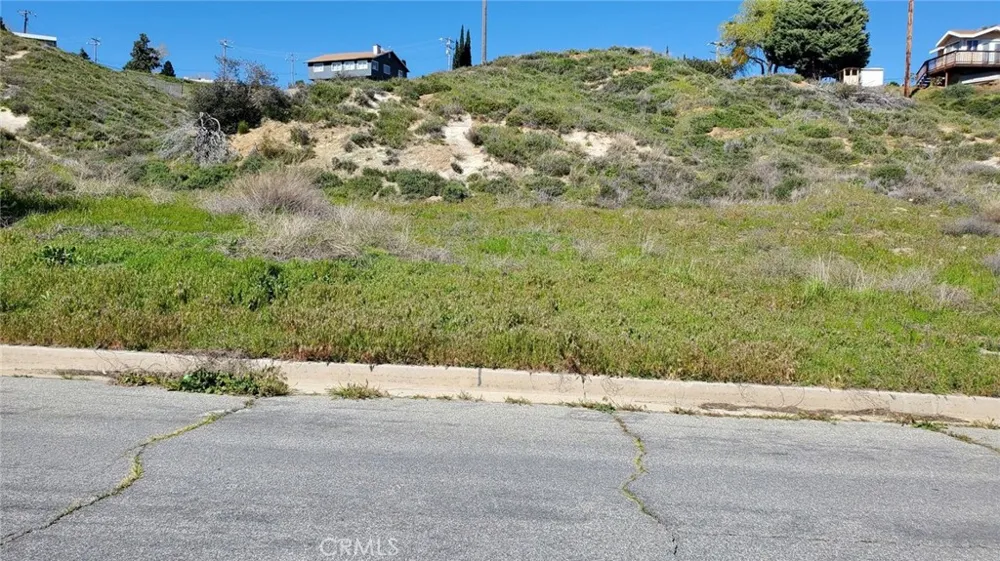 Kiptree Drive Lake Elizabeth, CA 93532
