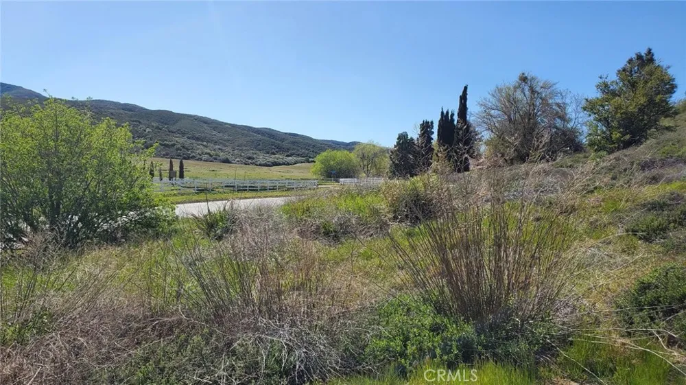 Kiptree Drive Lake Elizabeth, CA 93532