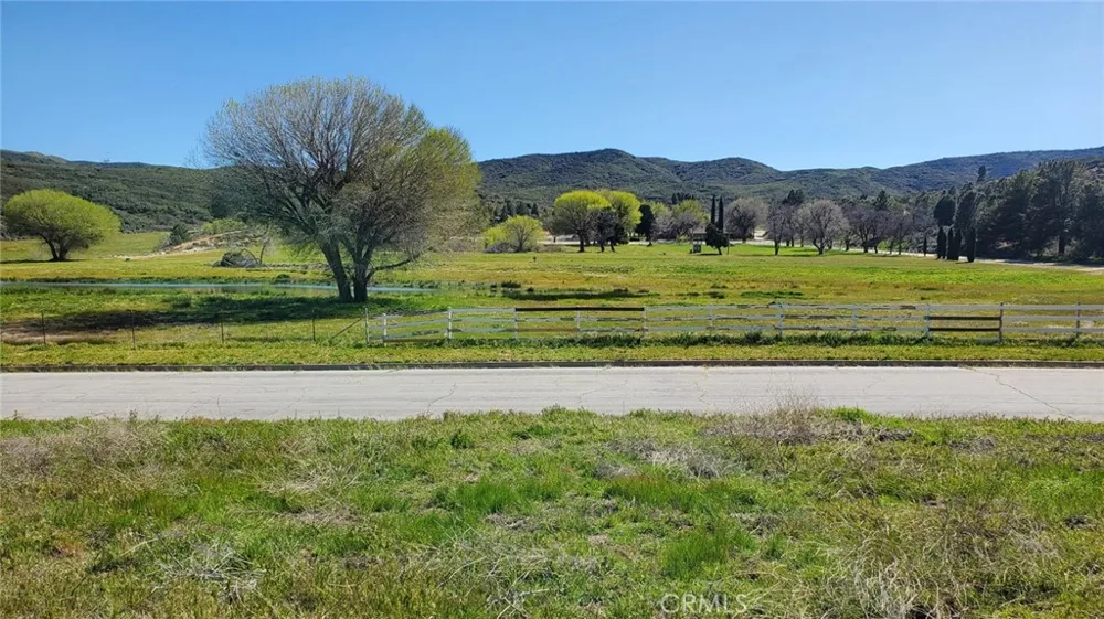 Kiptree Drive Lake Elizabeth, CA 93532