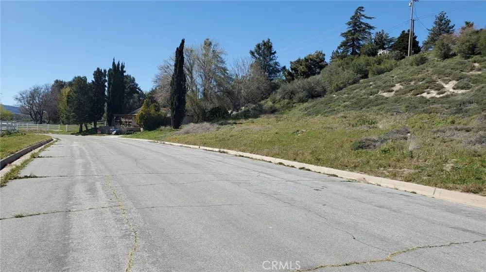 Kiptree Drive Lake Elizabeth, CA 93532