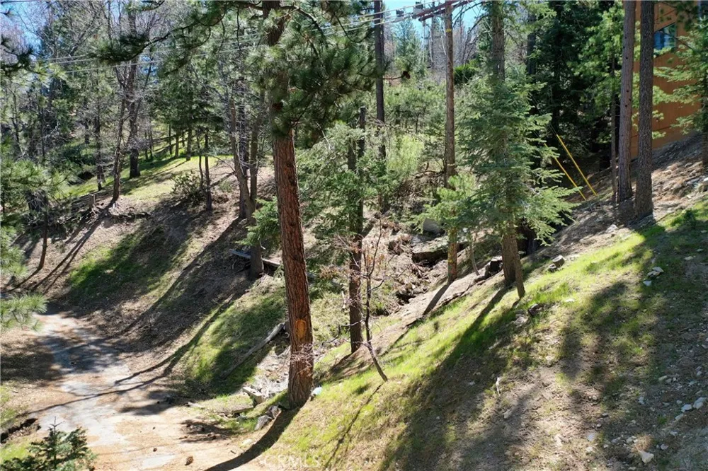Yukon Drive Lake Arrowhead, CA 92352