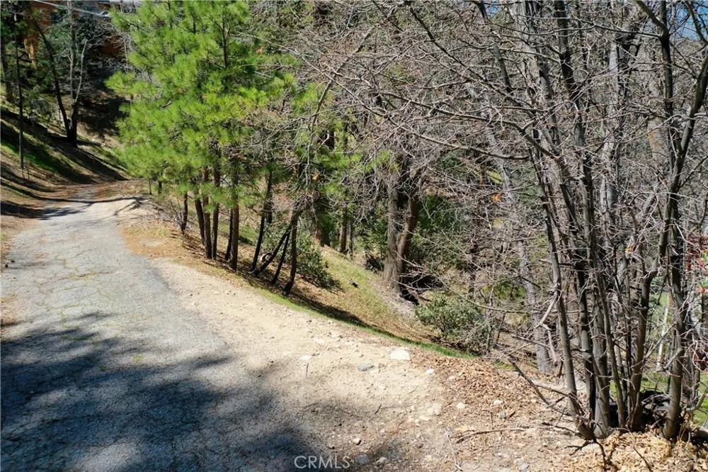 Yukon Drive Lake Arrowhead, CA 92352