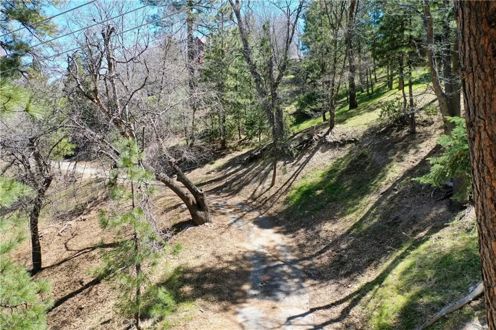 Yukon Drive Lake Arrowhead, CA 92352