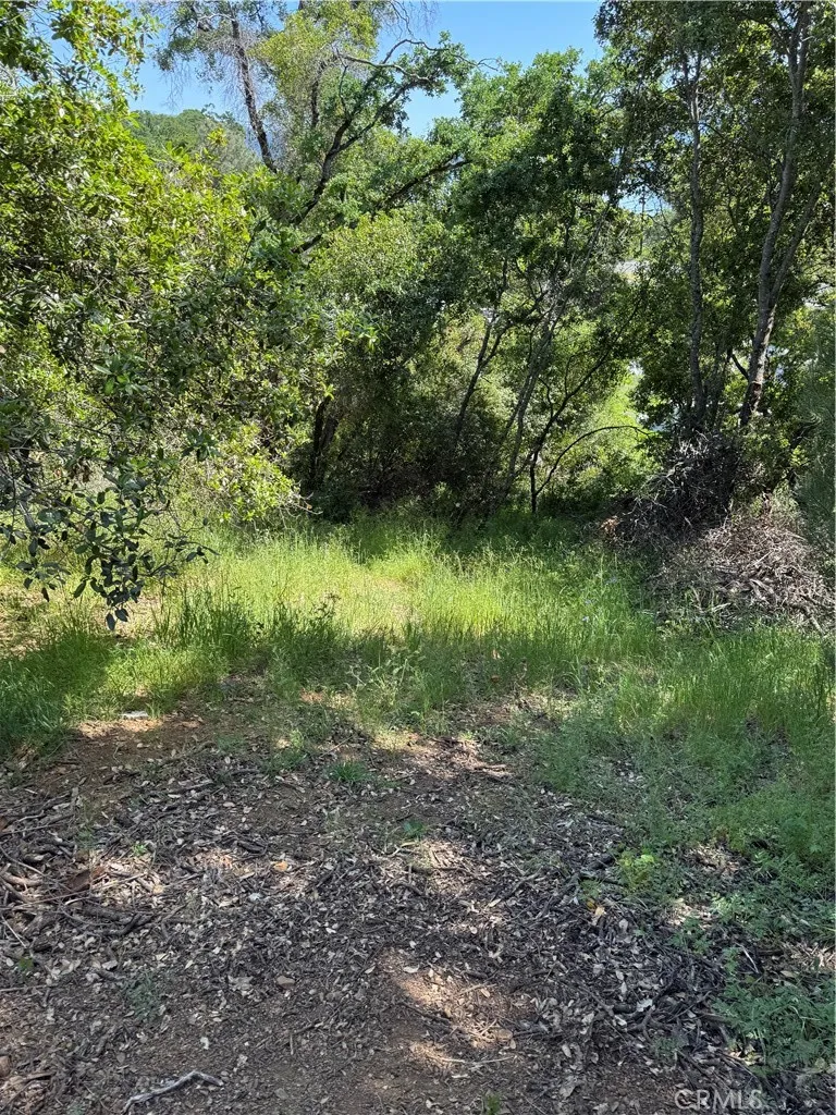 6705 Floyd Way Nice, CA 95464
