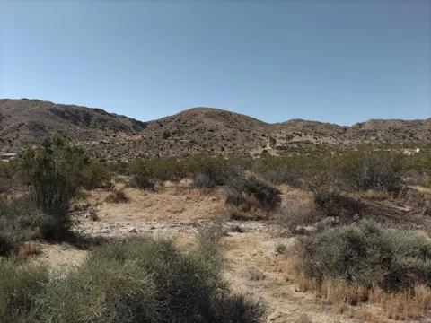 Canyon Road