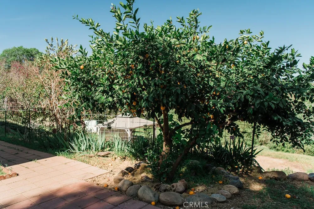 5085 Boyer Road Mariposa, CA 95338
