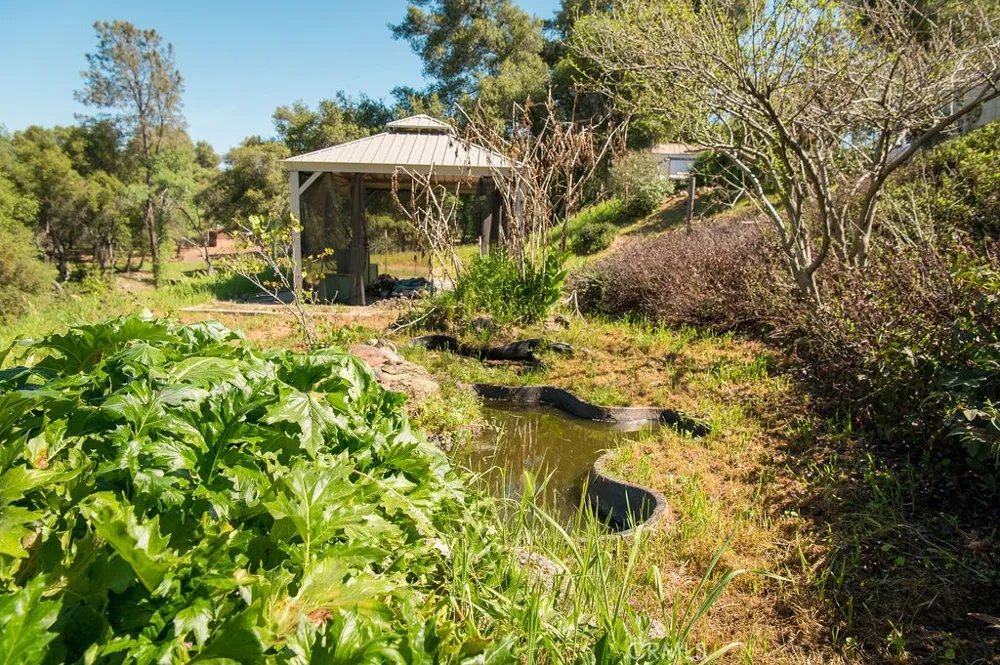 5085 Boyer Road Mariposa, CA 95338